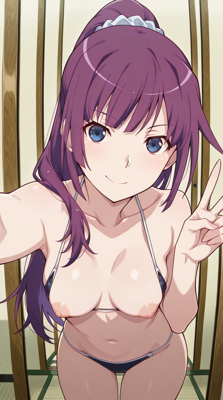 Hitagi Senjougahara Long Hair